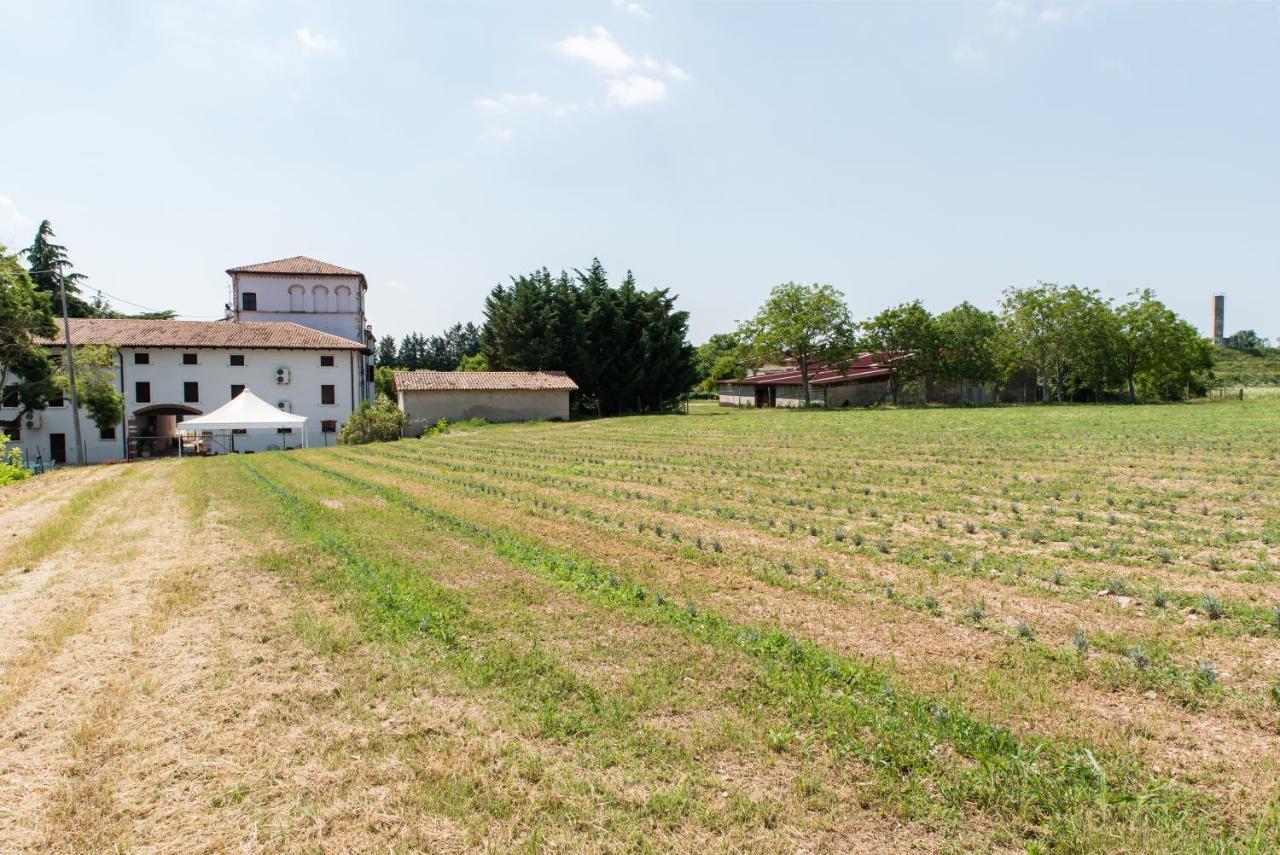 Agriturismo Colombare Teboi Лацизе Екстер'єр фото